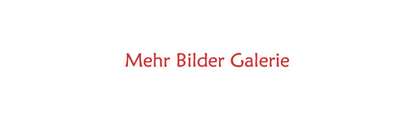 Bildergalerie-zenfolio